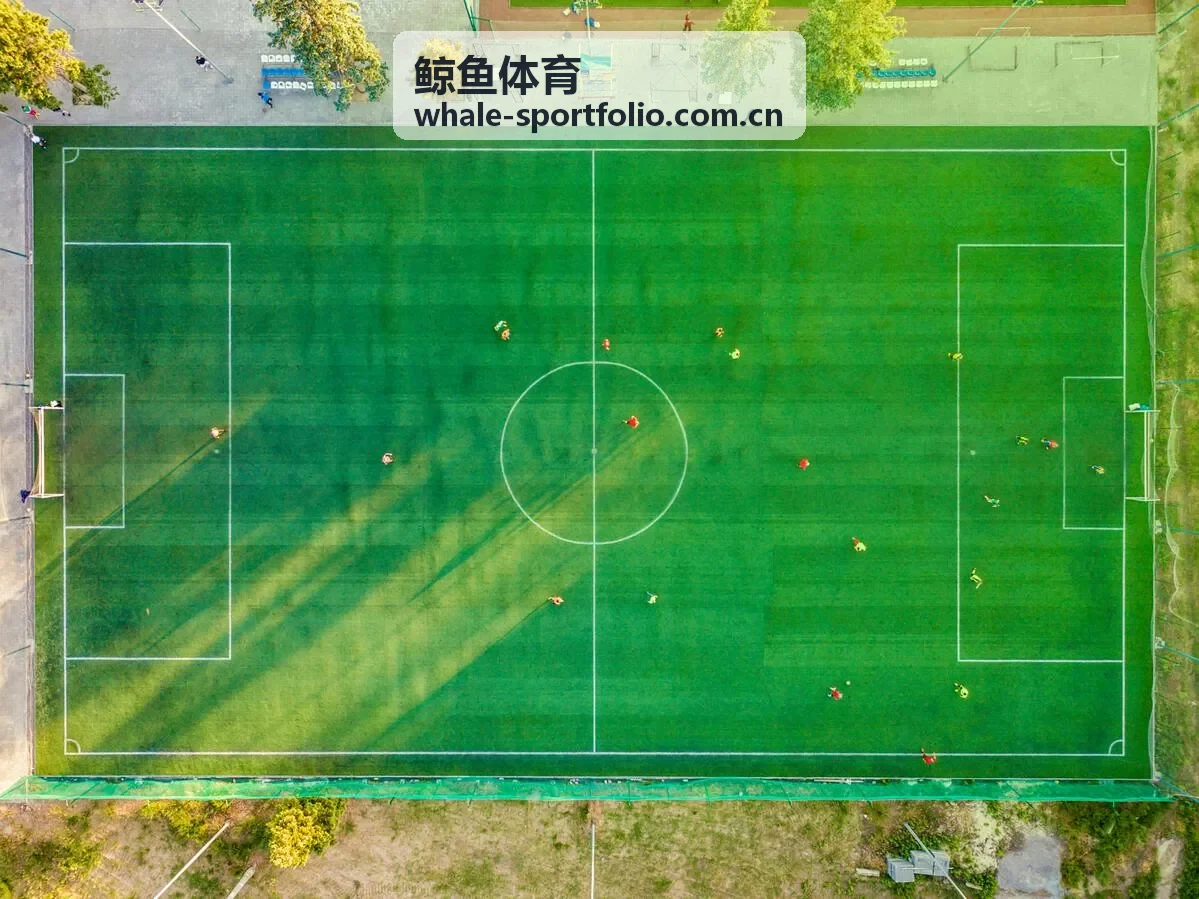鲸鱼体育体育文化频道封面